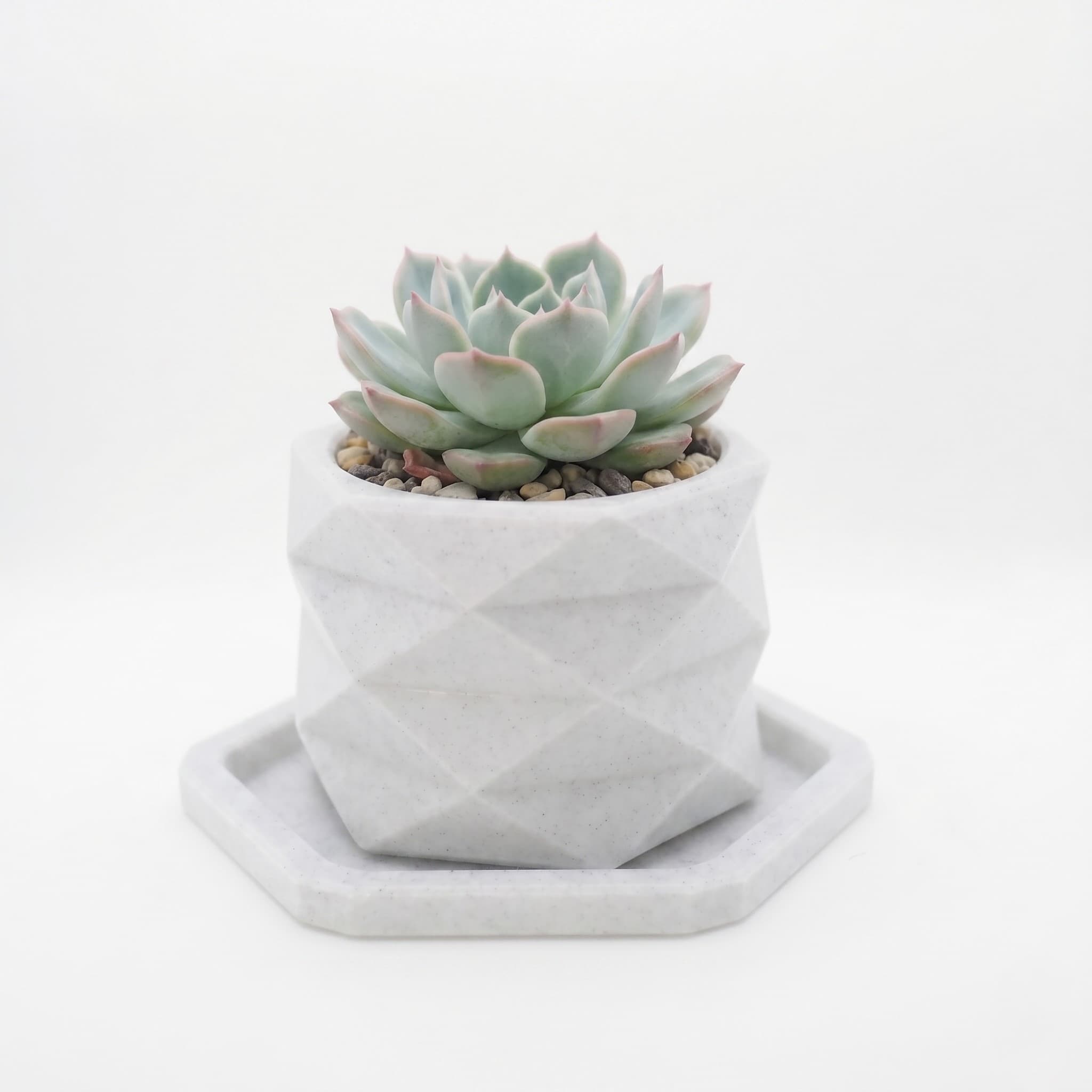 Euclid Planter
